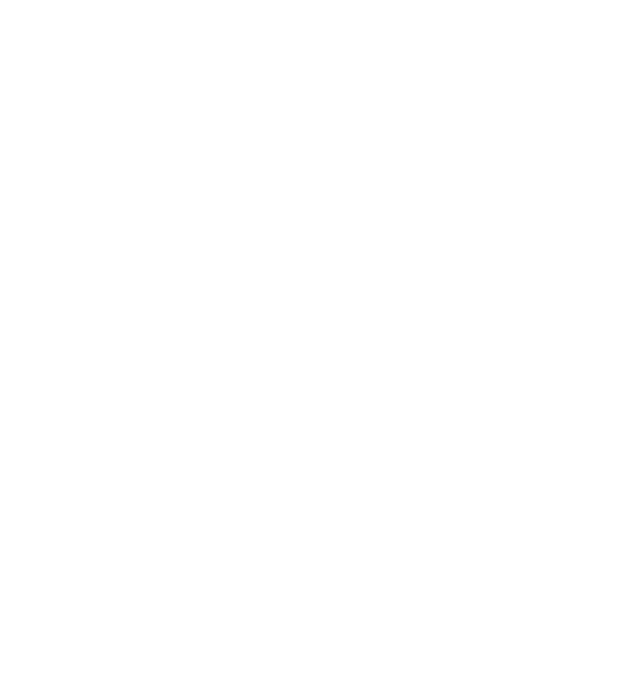Lavaggio GDL